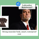 Illustration for article titled Microsofts New What-Dog-Is-Your-Face Tool Is Good, Dumb Fun